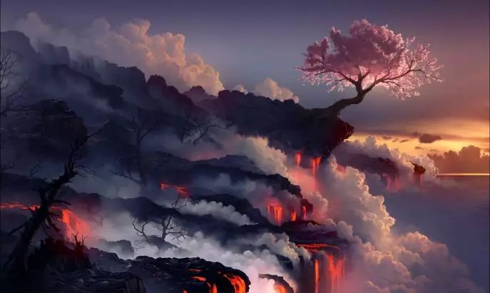 Image optimisée passant de 1024Ko à 150Ko
